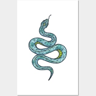 Blue Snake Posters and Art